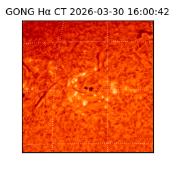 gong - 2026-03-30T16:00:42