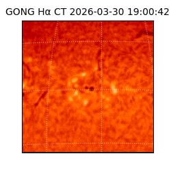 gong - 2026-03-30T19:00:42