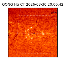 gong - 2026-03-30T20:00:42