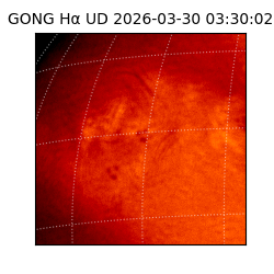gong - 2026-03-30T03:30:02