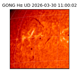 gong - 2026-03-30T11:00:02