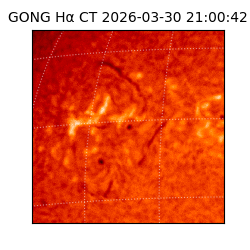 gong - 2026-03-30T21:00:42