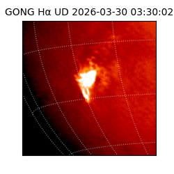 gong - 2026-03-30T03:30:02