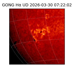 gong - 2026-03-30T07:22:02