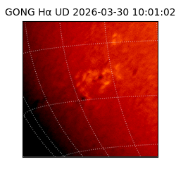 gong - 2026-03-30T10:01:02