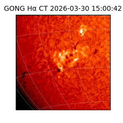 gong - 2026-03-30T15:00:42