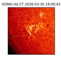 gong - 2026-03-30T18:00:42