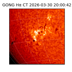gong - 2026-03-30T20:00:42