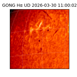 gong - 2026-03-30T11:00:02