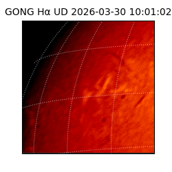 gong - 2026-03-30T10:01:02