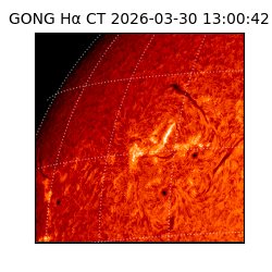 gong - 2026-03-30T13:00:42