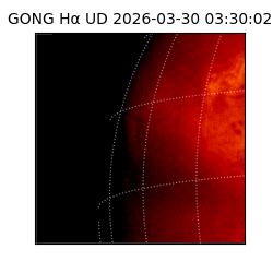 gong - 2026-03-30T03:30:02