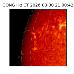 gong - 2026-03-30T21:00:42