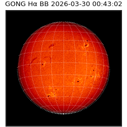 gong - 2026-03-30T00:43:02