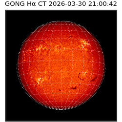 gong - 2026-03-30T21:00:42