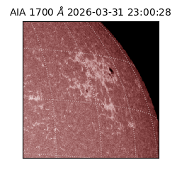 saia - 2026-03-31T23:00:28.446000