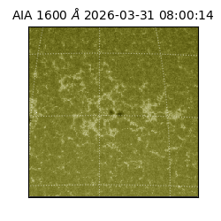 saia - 2026-03-31T08:00:14.123000