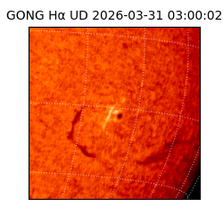 gong - 2026-03-31T03:00:02