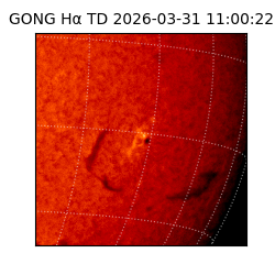 gong - 2026-03-31T11:00:22
