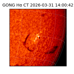 gong - 2026-03-31T14:00:42