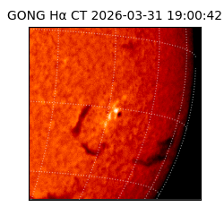 gong - 2026-03-31T19:00:42