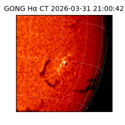 gong - 2026-03-31T21:00:42