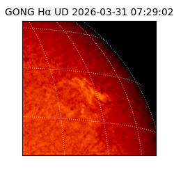 gong - 2026-03-31T07:29:02