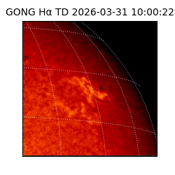 gong - 2026-03-31T10:00:22