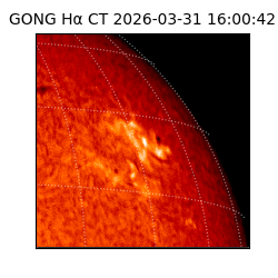 gong - 2026-03-31T16:00:42