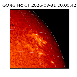 gong - 2026-03-31T20:00:42