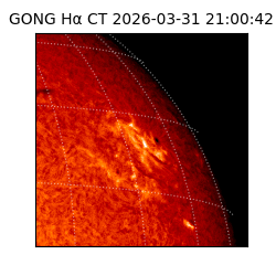 gong - 2026-03-31T21:00:42
