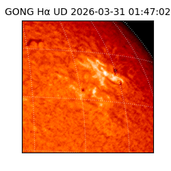 gong - 2026-03-31T01:47:02