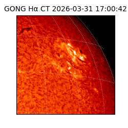 gong - 2026-03-31T17:00:42