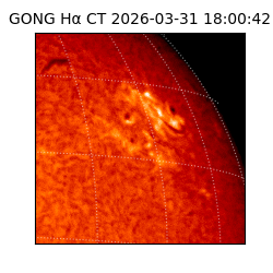 gong - 2026-03-31T18:00:42
