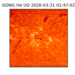 gong - 2026-03-31T01:47:02