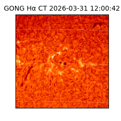 gong - 2026-03-31T12:00:42