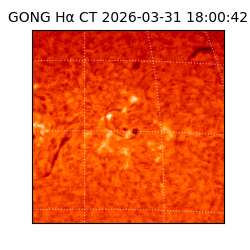 gong - 2026-03-31T18:00:42