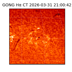 gong - 2026-03-31T21:00:42