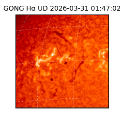 gong - 2026-03-31T01:47:02