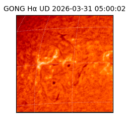 gong - 2026-03-31T05:00:02