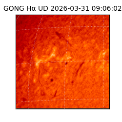 gong - 2026-03-31T09:06:02