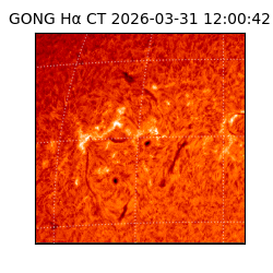 gong - 2026-03-31T12:00:42