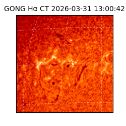 gong - 2026-03-31T13:00:42