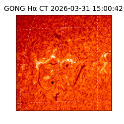 gong - 2026-03-31T15:00:42