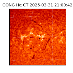 gong - 2026-03-31T21:00:42