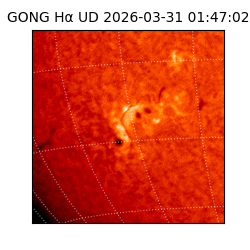 gong - 2026-03-31T01:47:02