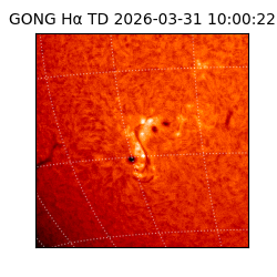 gong - 2026-03-31T10:00:22