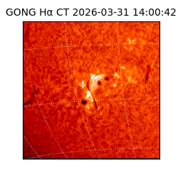 gong - 2026-03-31T14:00:42