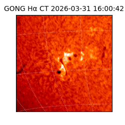 gong - 2026-03-31T16:00:42