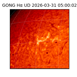 gong - 2026-03-31T05:00:02